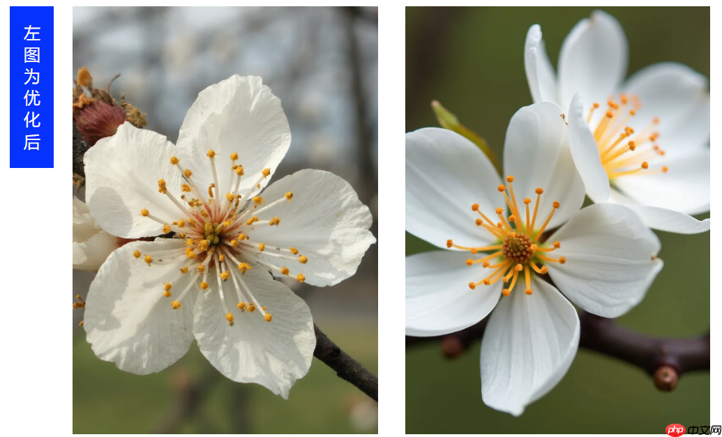 腾讯混元公布 SRPO 技术,解决大模型生图“过油”问题
