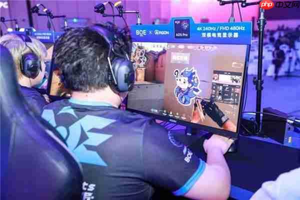 AGON闪耀BOE IPC电竞嘉年华 共燃无畏杯S3终极对决