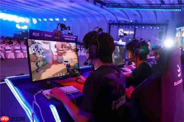 AGON闪耀BOE IPC电竞嘉年华 共燃无畏杯S3终极对决
