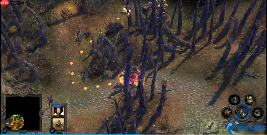 英雄无敌水系女王伊丽莎白:从控场到爆发的完美加点路线