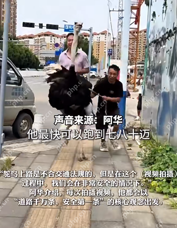 遥遥领先！云南男子喜提新能源坐骑——鸵鸟，当事人：最快可以跑80迈 - php中文网