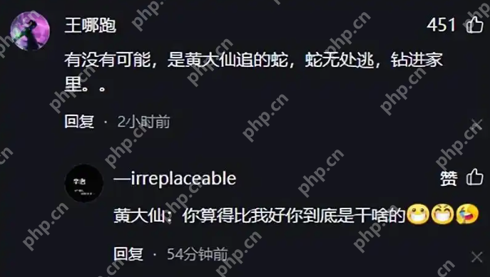 现实版“动物世界”：小蛇钻入家中黄鼠狼紧随将其叼出 - php中文网