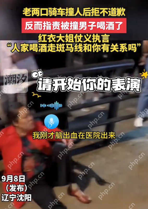 沈阳街头碰撞:老两口撞人后拒不道歉反指责被撞男子喝酒了 - php中文网