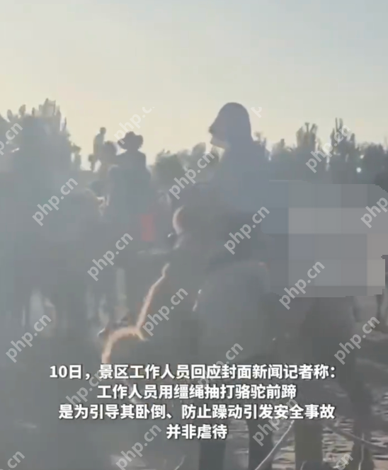 游客拍骆驼挨打被要求删视频 工作人员:事发时骆驼情绪不稳定 - php中文网