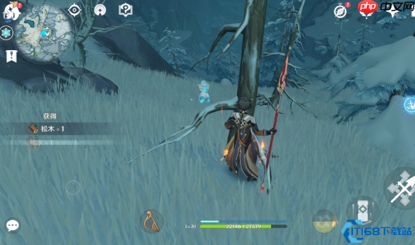 原神海祇岛35个灵芝速刷路线：20分钟搞定全采集