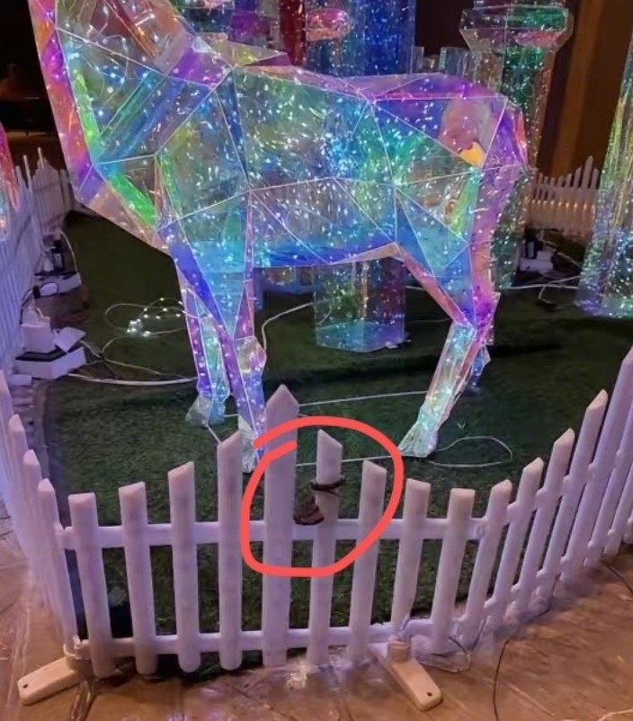 九寨沟一酒店大堂惊现毒蛇 酒店回应:已放生并进行消杀 - php中文网