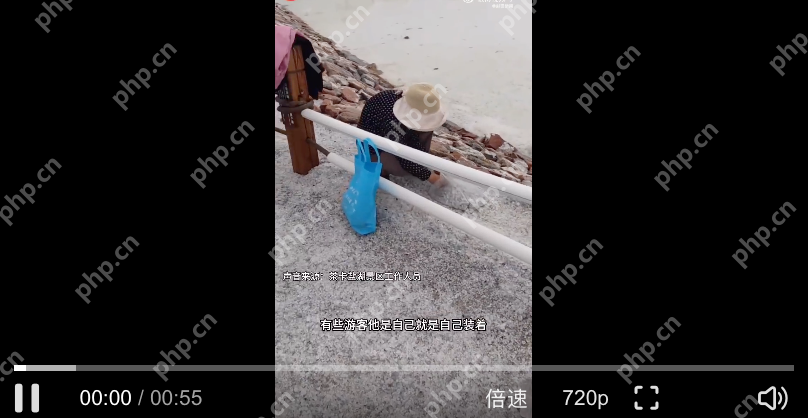 游客将茶卡盐湖铺路盐成袋装走是怎么回事？详细介绍 - php中文网