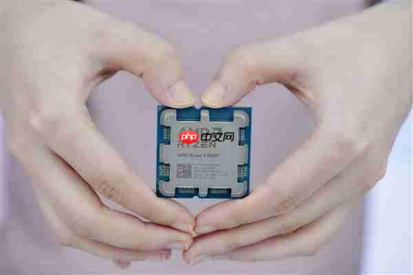 新一代的千元神U!AMD锐龙5 9500F处理器图赏