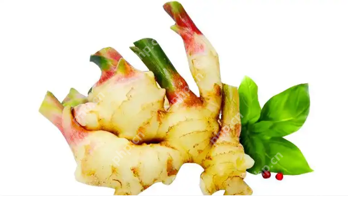 告别浪费：超实用的家庭常见蔬菜保鲜技巧大全 - php中文网