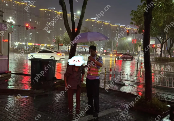 暴雨街头的温暖接力：外卖小哥与交警共同守护迷路老人 - php中文网