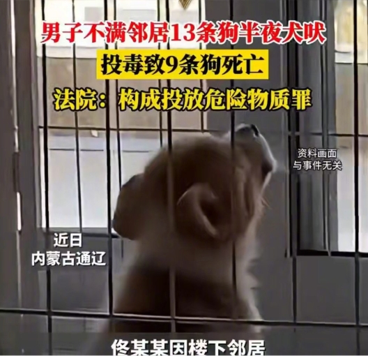 不满13条狗半夜叫扰毒死9只获刑是怎么回事?详情介绍 - php中文网