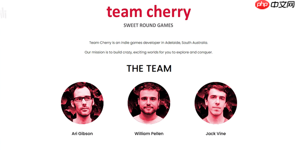 没想到大家最想玩的是《空洞骑士：丝之歌》不负6年等待