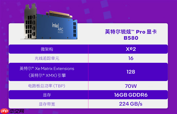 Intel锐炫Pro B50显卡国内上市：2999元！16GB大显存