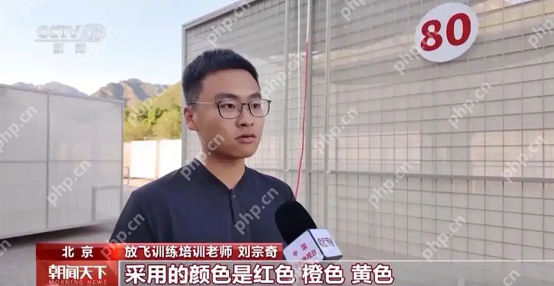 8万羽和平鸽全部来自北京民间鸽友！阅兵式万鸽齐飞的震撼场面，他们如何做到？ - php中文网