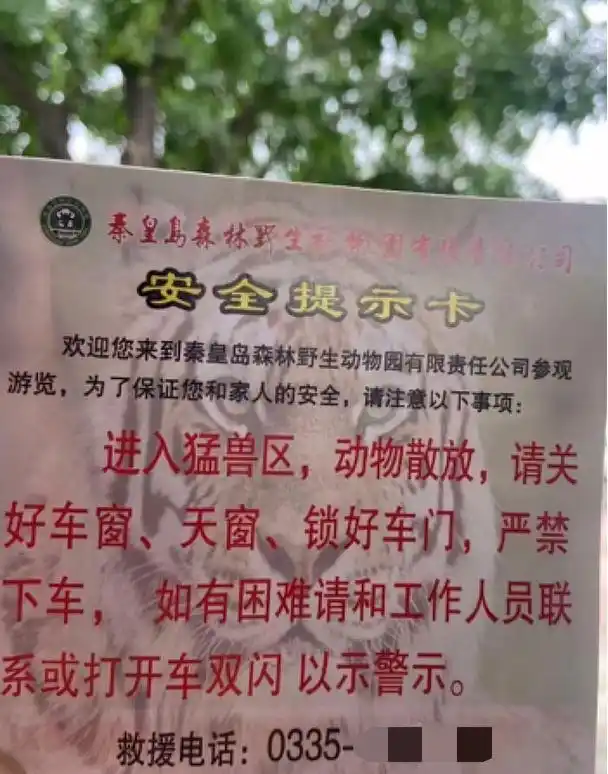 两车在秦皇岛野生动物园猛兽区发生剐蹭,多名游客下车当着老虎面吵架 - php中文网