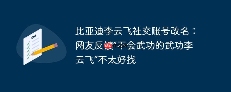 比亚迪李云飞社交账号改名:网友反馈“不会武功的武功李云飞”不太好找