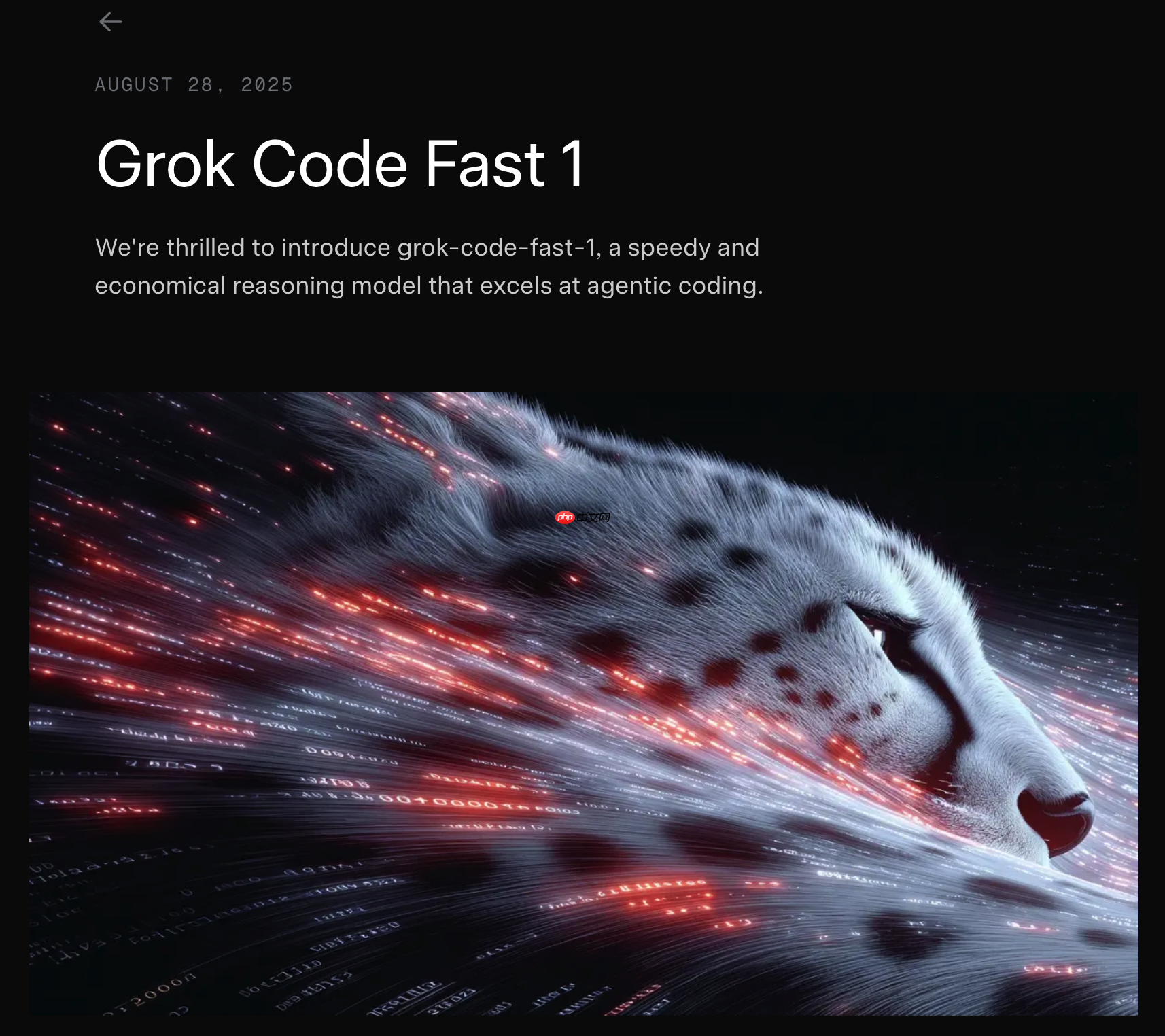 xAI 发布代码生成模型 Grok Code Fast 1