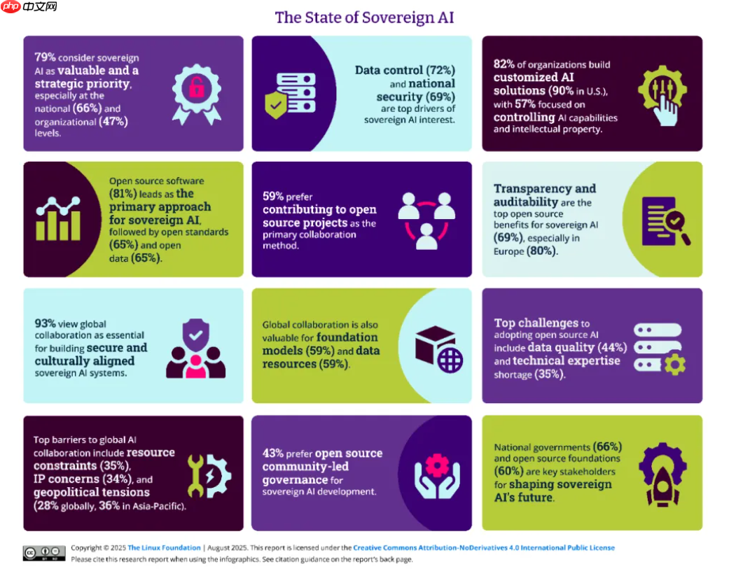 主权 AI 现状报告