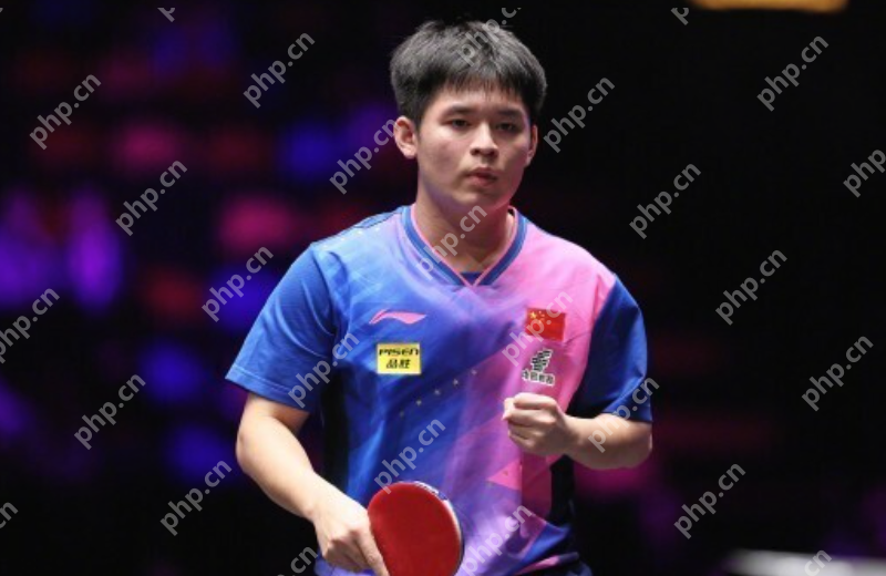 林诗栋惜败后国乒男单如何突围?谁能力挽国乒晋级形势? - php中文网