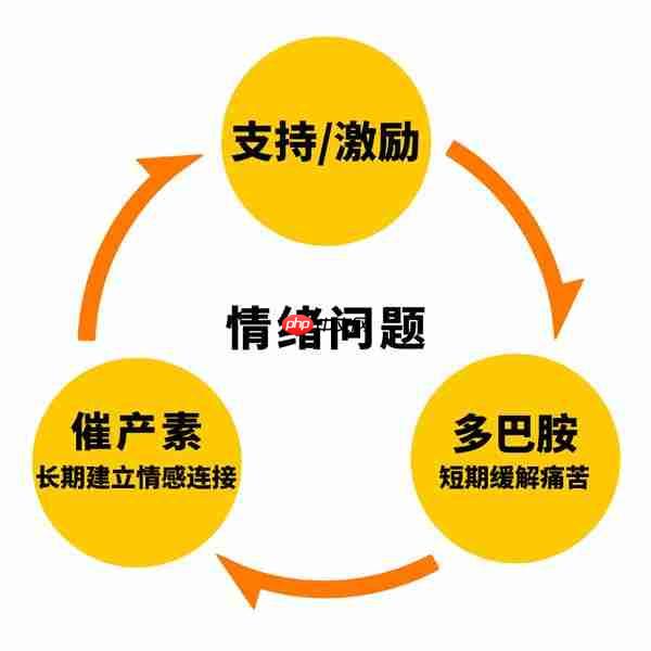 心言集团任永亮:好产品会让用户触发催产素分泌