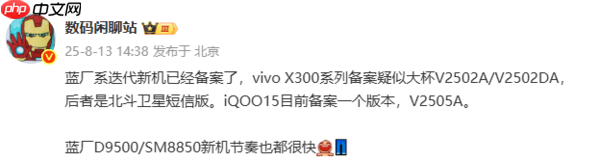 曝vivo X300系列将推北斗卫星版 搭载天玑9500处理器