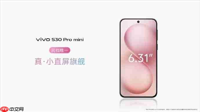 多彩小直屏vivo S30系列正式开售，国补到手2294元起！