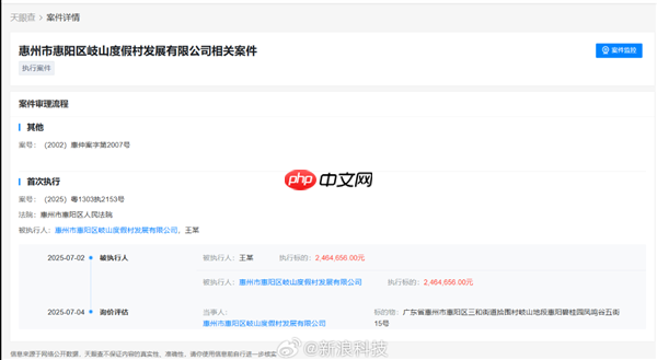 进军AI领域二次创业后 王自如再成被执行人 执行标的超246万