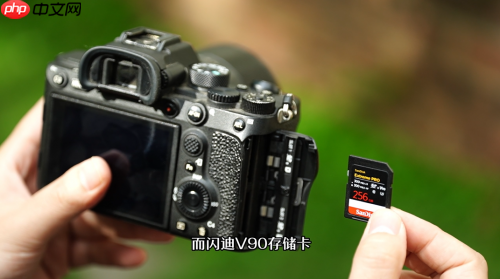 夏日出逃纵情旷野:闪迪助力露营玩家解锁自然治愈能量