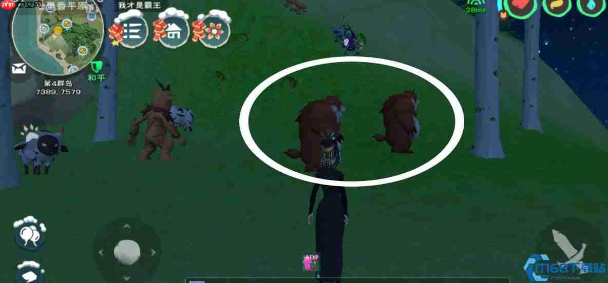 熊类驯服终极指南:从木棍到捕兽夹的全流程解析