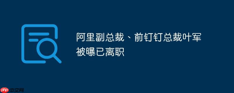 阿里副总裁、前钉钉总裁叶军被曝已离职