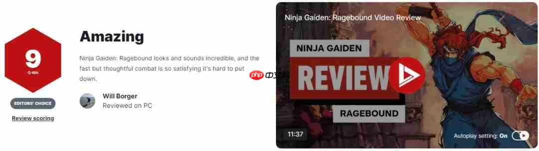 《忍者龙剑传外传：怒之羁绊》IGN评9分 画面音效惊艳