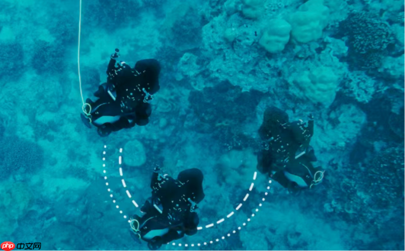 索尼联合水下机器人拍摄解决方案重磅亮相，鳍源荣获BIRTV推荐奖