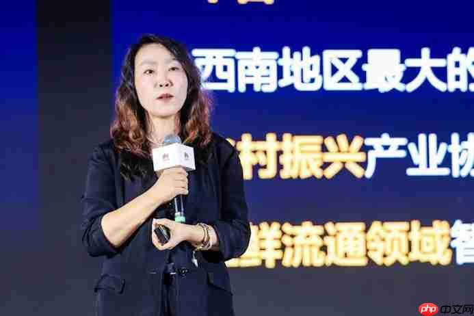 共铸高质量智赢高价值 2025华为中国数字能源创新峰会·云南成功举办