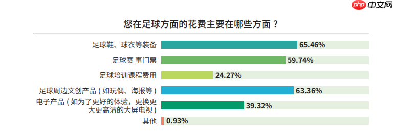 《中国足球环境及未来发展白皮书(2025)》发布:100吋大屏电视成标配