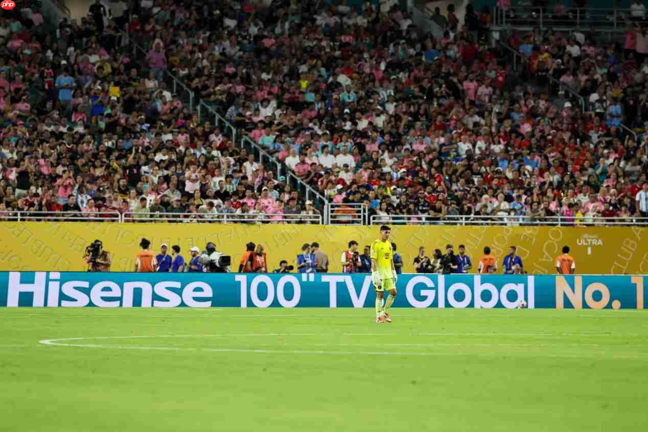 《中国足球环境及未来发展白皮书(2025)》发布:100吋大屏电视成标配