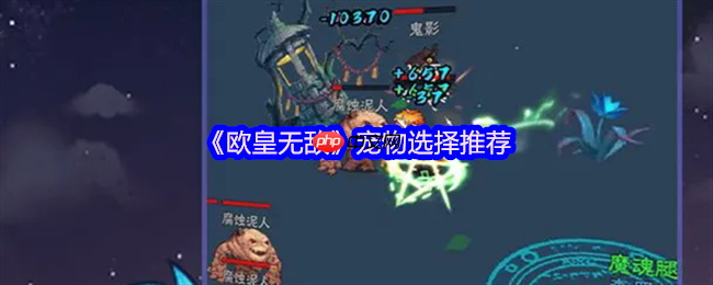 音贝才是王道 欧皇无敌宠物选择终极避坑指南