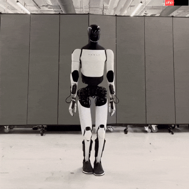 三金,又是中国队!全球机器人视触融合挑战赛揭榜