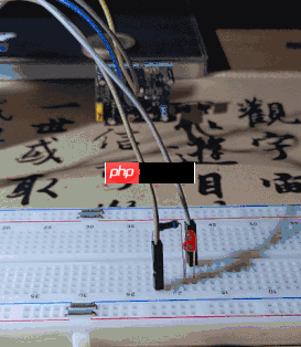 张高兴的 .NET IoT 入门指南：（二）GPIO 的使用