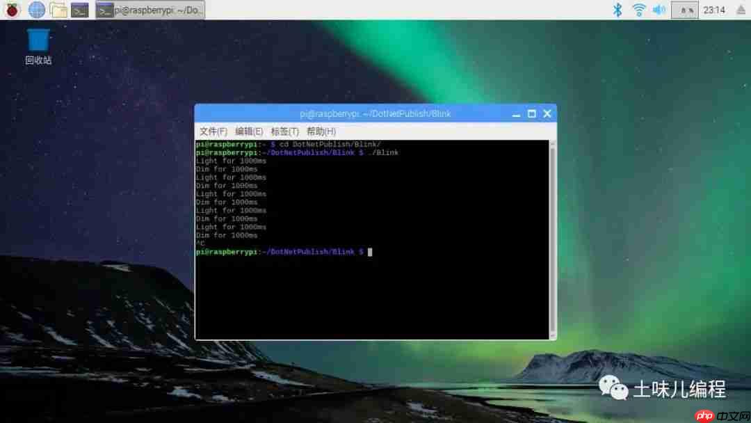张高兴的 .NET IoT 入门指南:(一)环境配置、Blink、部署
