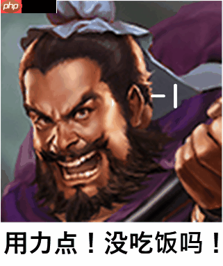 群雄时代虎卫军全面解析：魏国最强禁卫实战秘籍