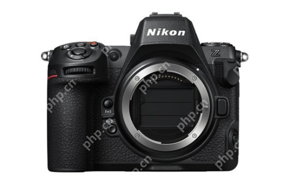 微单相机哪款最好？入门微单相机前十名2025推荐 - php中文网