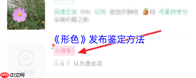 形色 APP 植物鉴定全攻略:3 分钟成为野生植物学家