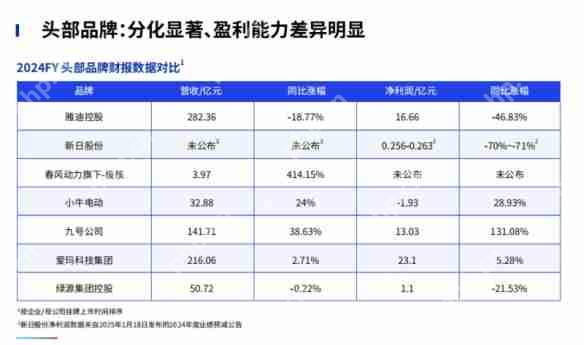 鲁大师2024年两轮电动车行业调研报告
