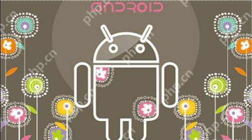 解App原生组件:功能特性与应用