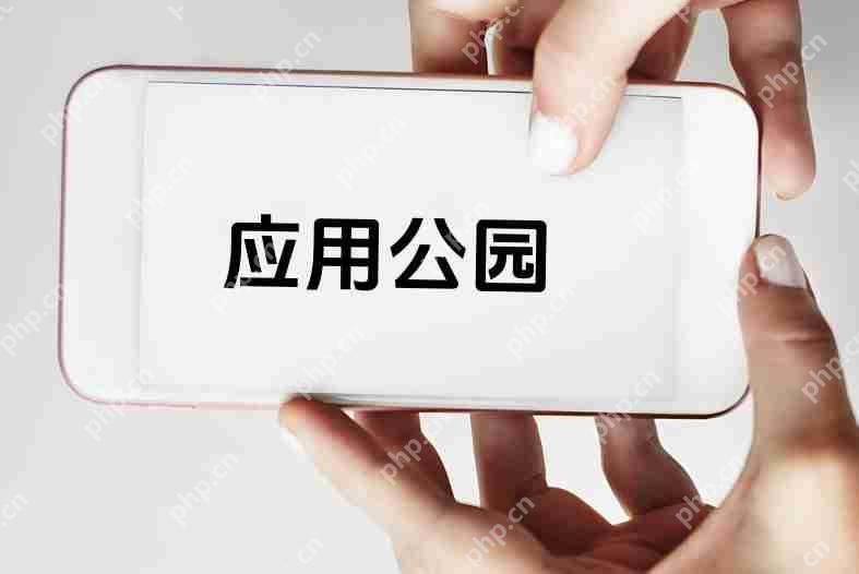 手机软件原生APP开发_核心功能的构建与完善