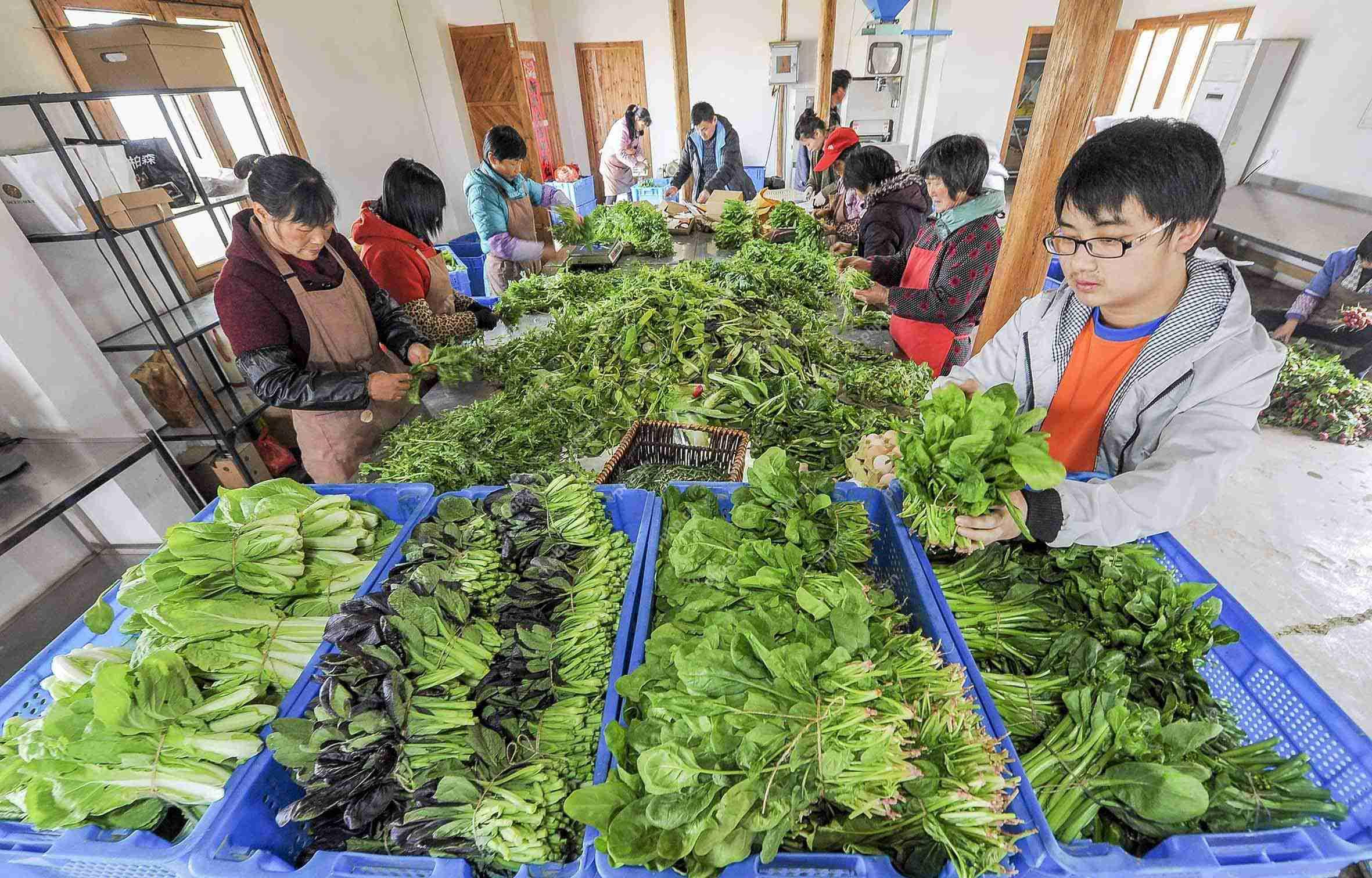 教你0技术10分钟快速开发生鲜送菜app,成本节省90%