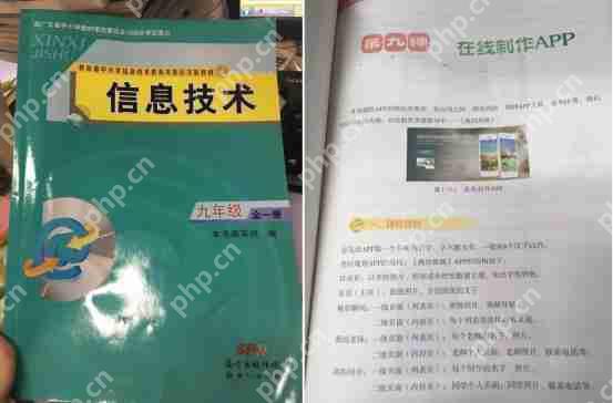 厦门专业开发app的软件公司哪家好?