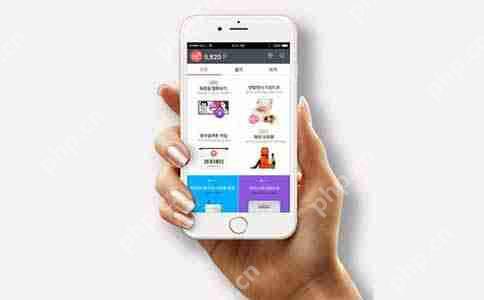 共享租车App开发：满足用户多样化需求