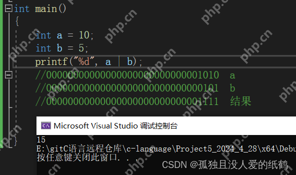 C语言：操作符详解（超详细的操作符详解）