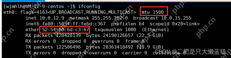 数据链路层：以太网/ARP协议